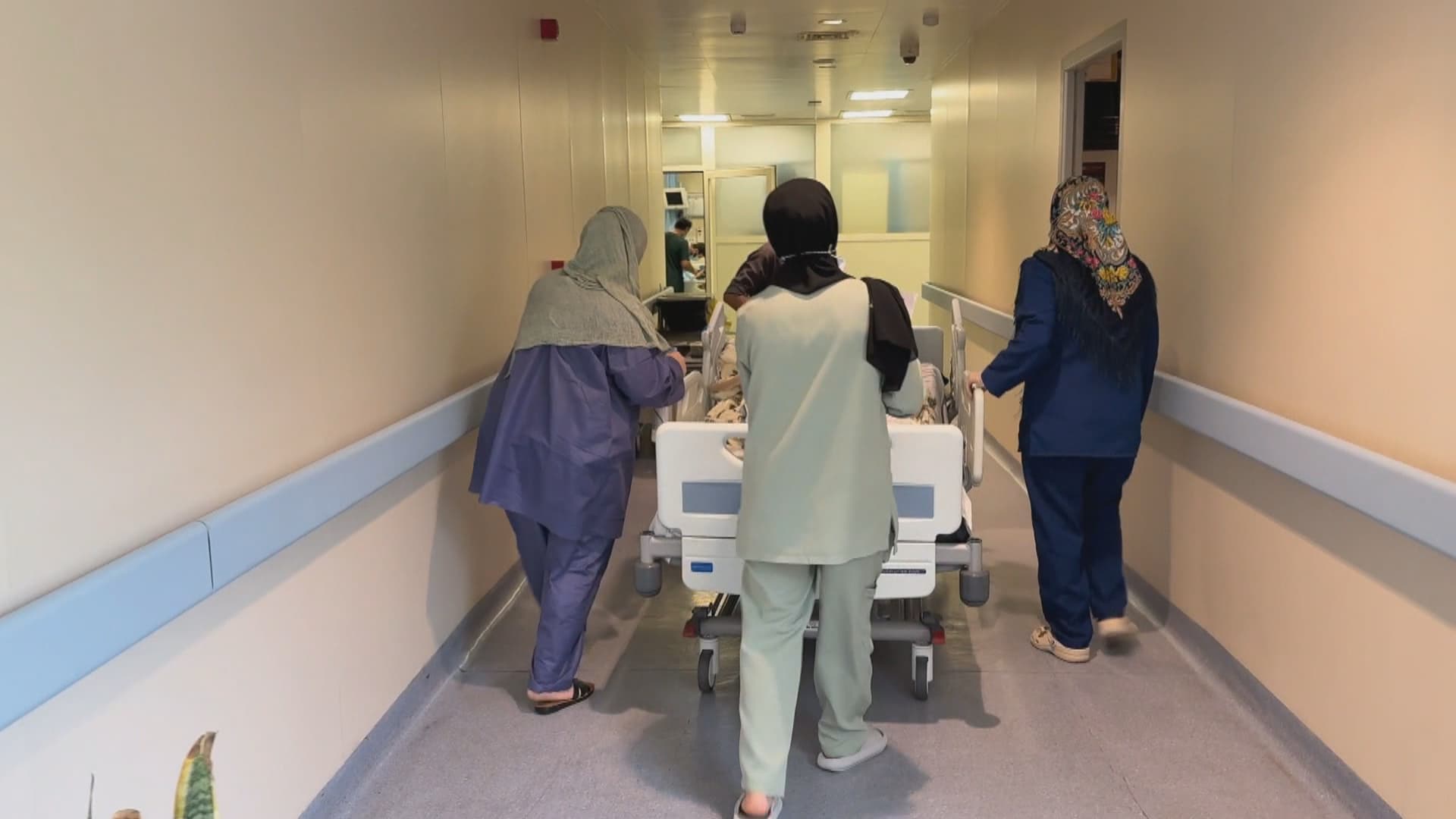 پسپۆڕێک: چاندنی گورچیلە بۆ کەسێک دەکرێت کە گورچیلەکانی کار نەکات