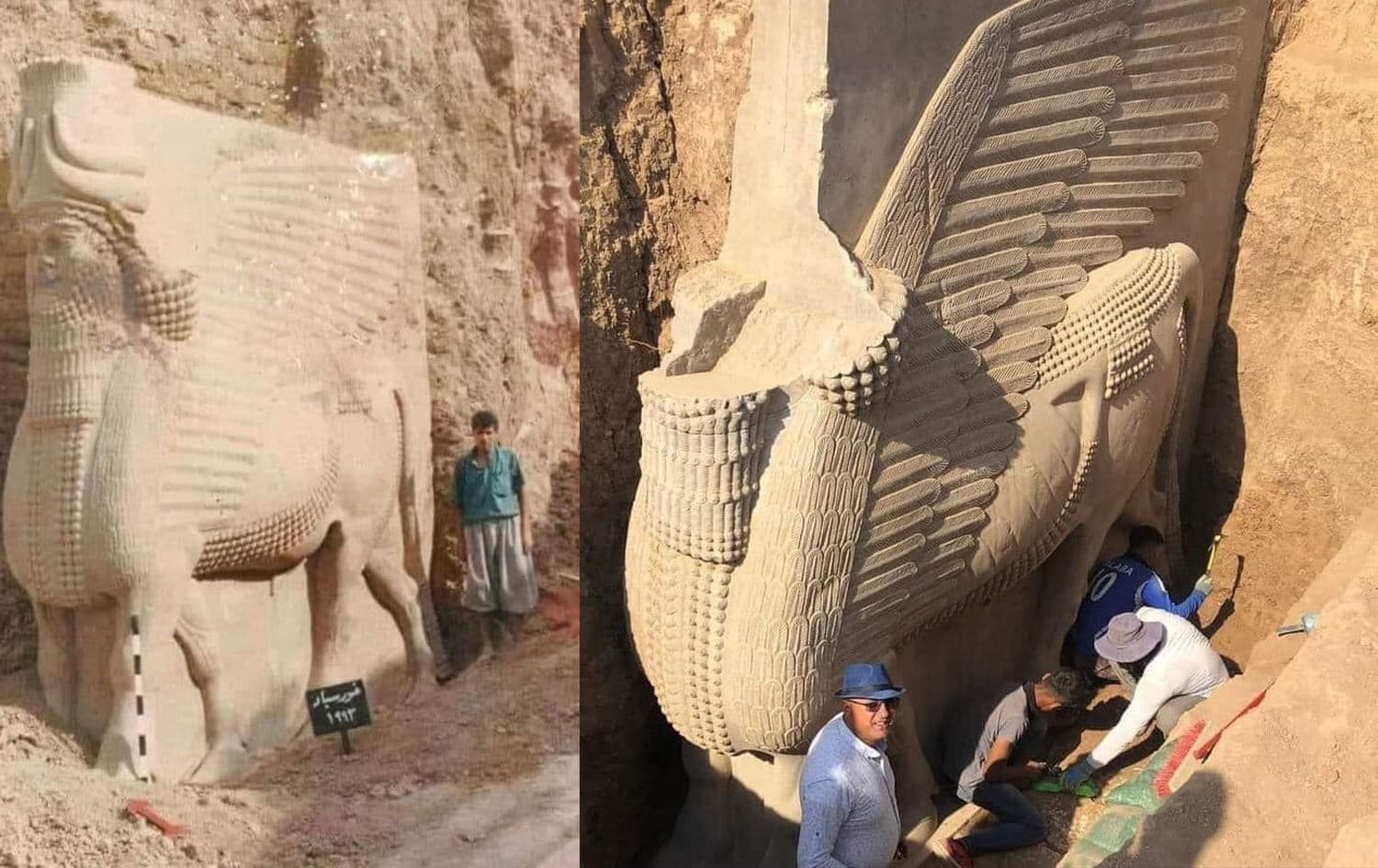 الثور المجنّح