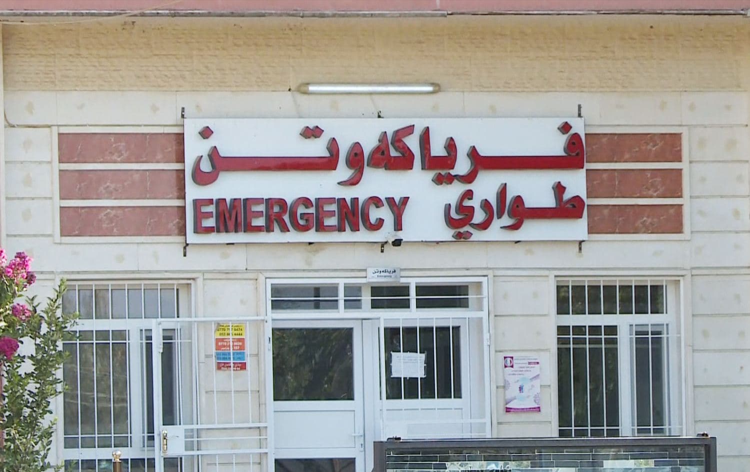 دواء عشبي لإنقاص الوزن يتسبب في فشل كبد سيدة ويودي بحياتها
