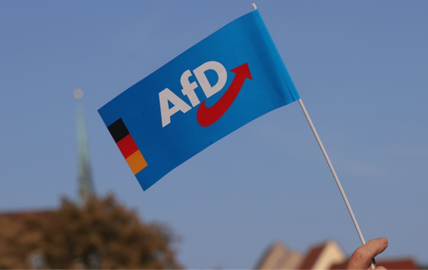 Almanya'da anketlere göre, AfD'nin seçmen potansiyeli rekor seviyeye ulaştı