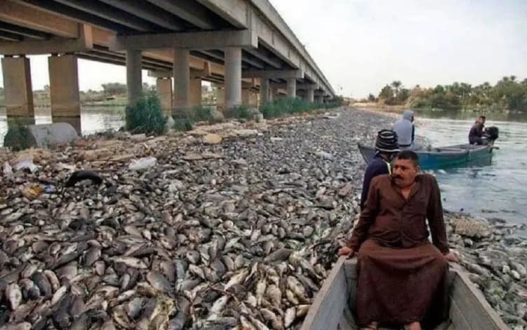 مرصد العراق الأخضر: 500 مصدر تلوث تخنق دجلة و5 محافظات في دائرة الخطر