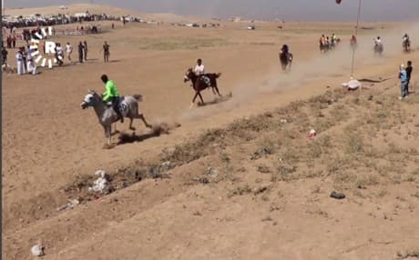 انطلاق مهرجان لسباق الخيول الأصيلة في ريف القامشلي بكوردستان سوريا