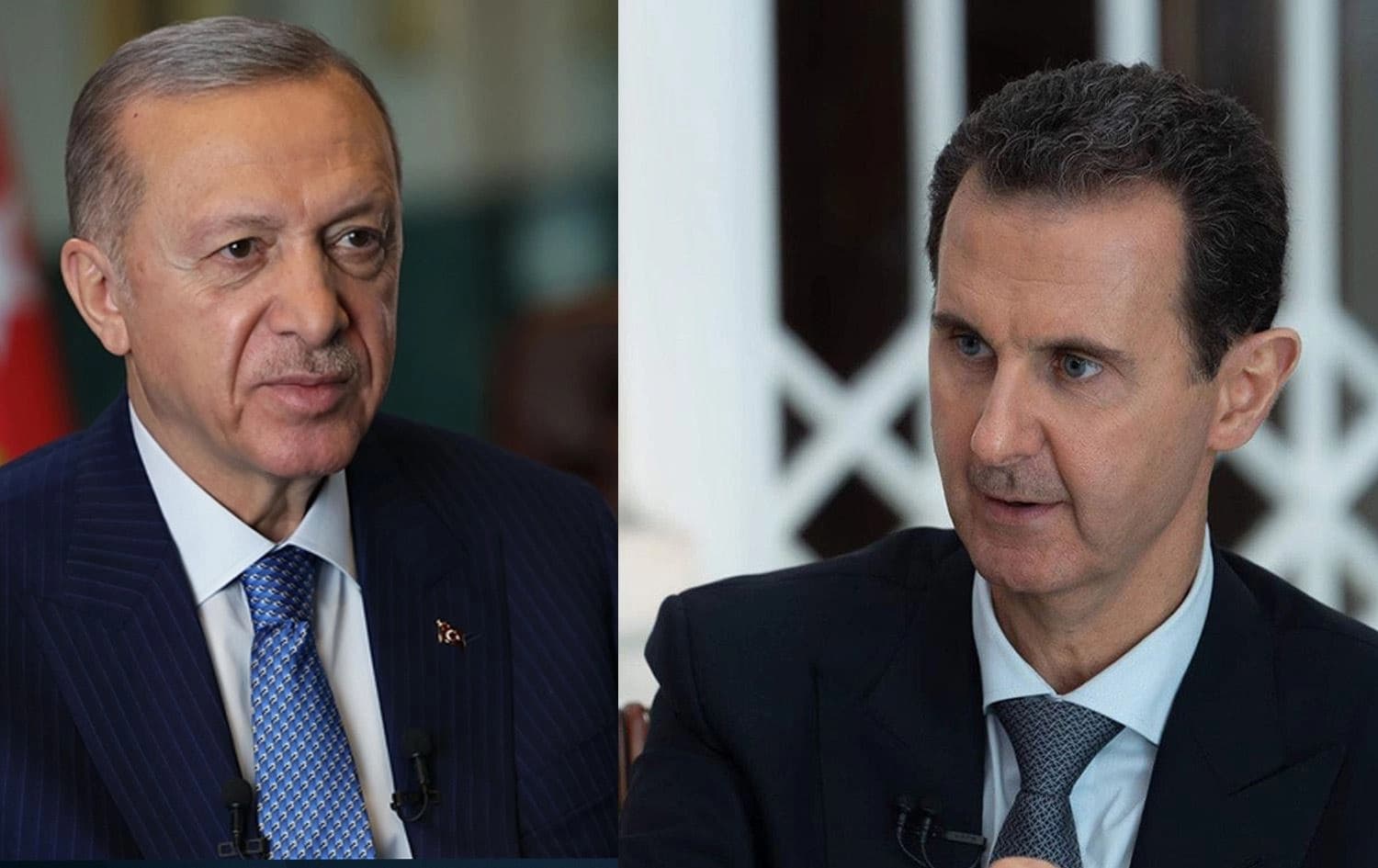 الأسد وأردوغان