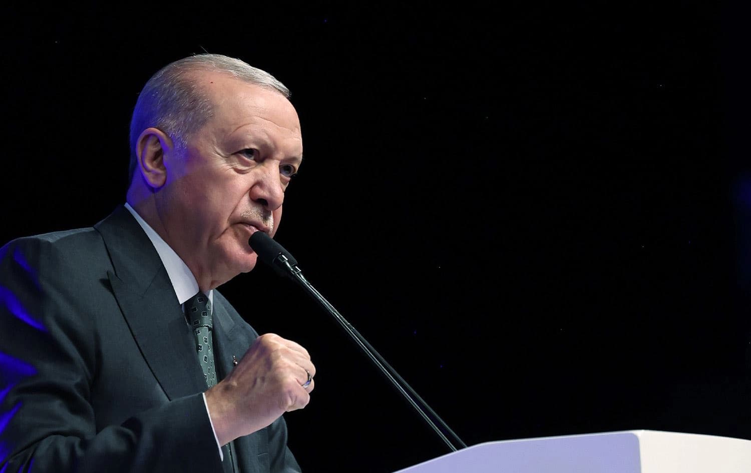 الرئيس التركي رجب طيب أردوغان 