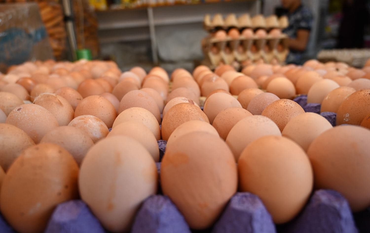 البيض في أسواق إقليم كوردستان