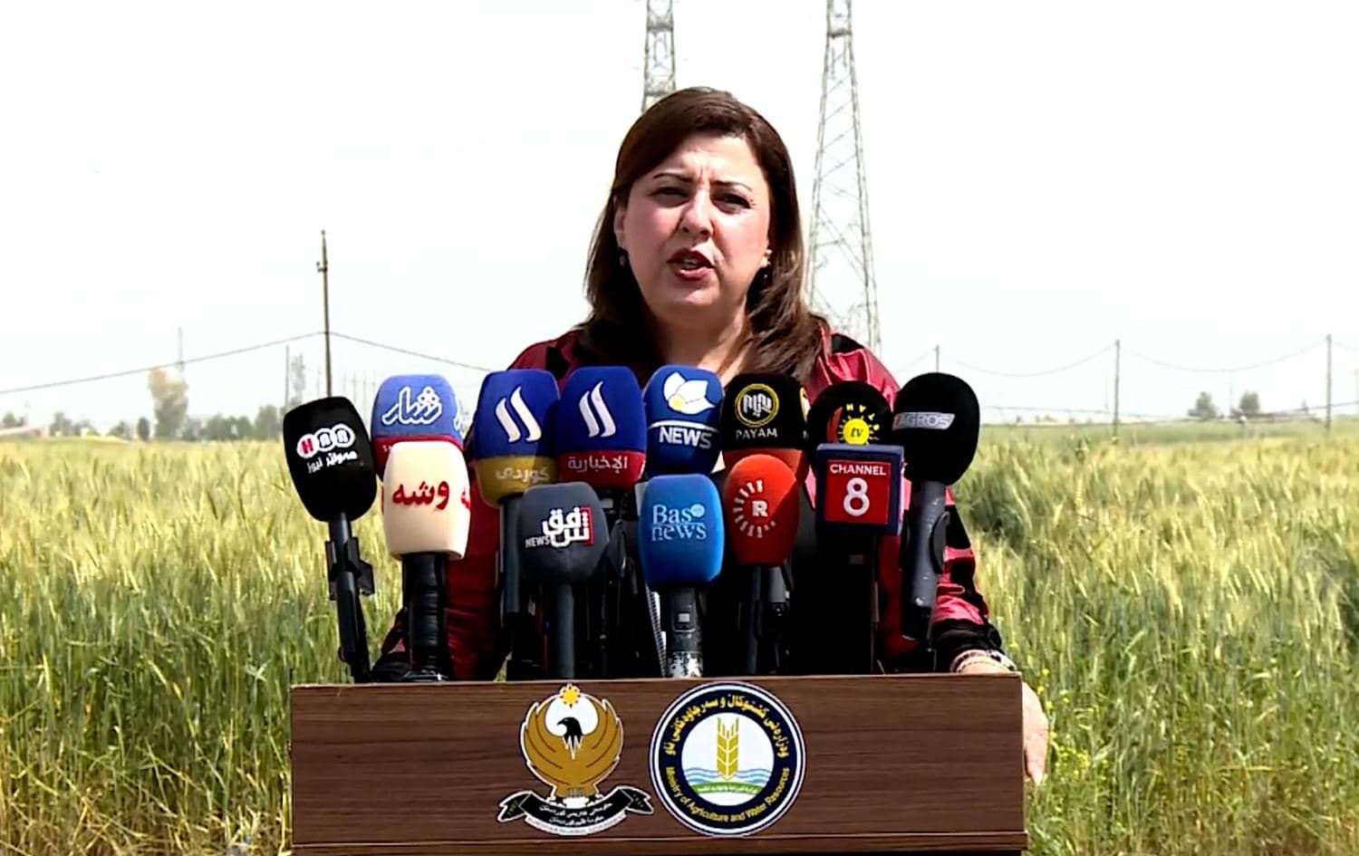 Baghdad wheat policy discriminatory toward Kurdistan Region farmers: Ministry