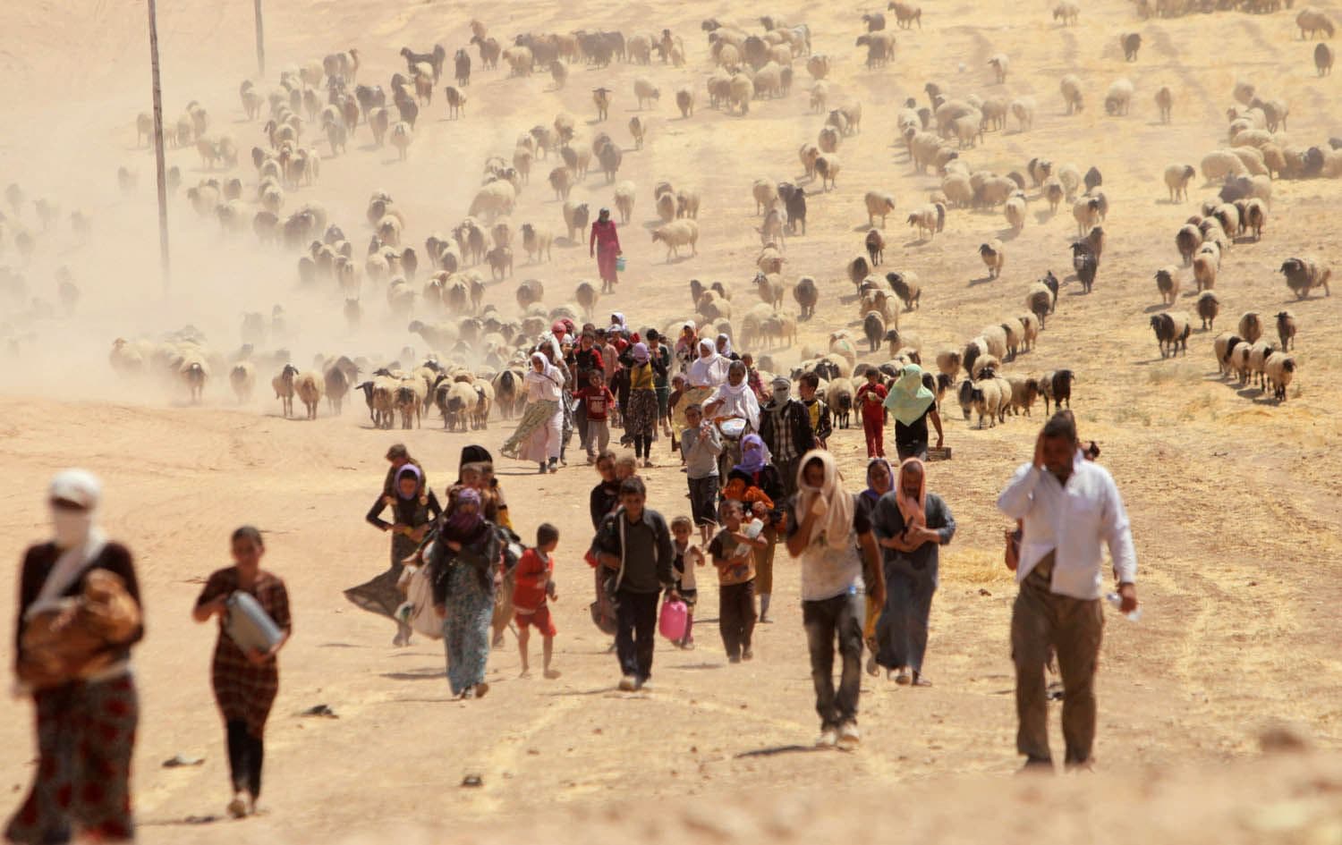 ست دول لرووداو: ندعم الإيزديين ونعمل على معاقبة المجرمين