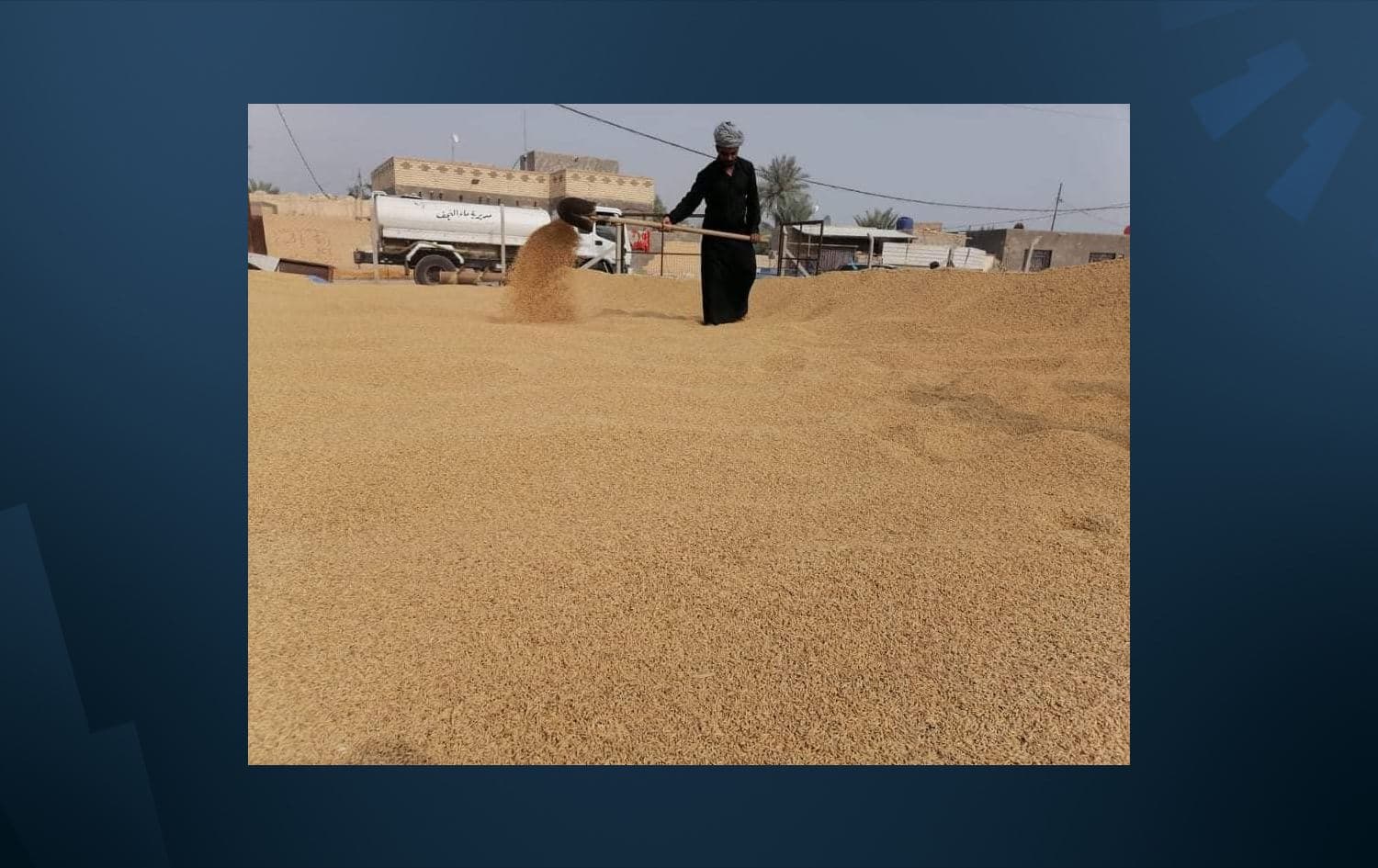 فلاح في محافظة النجف