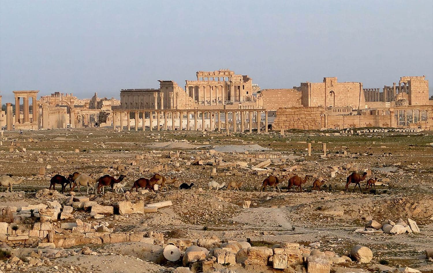صورة من مدينة تدمر الأثرية