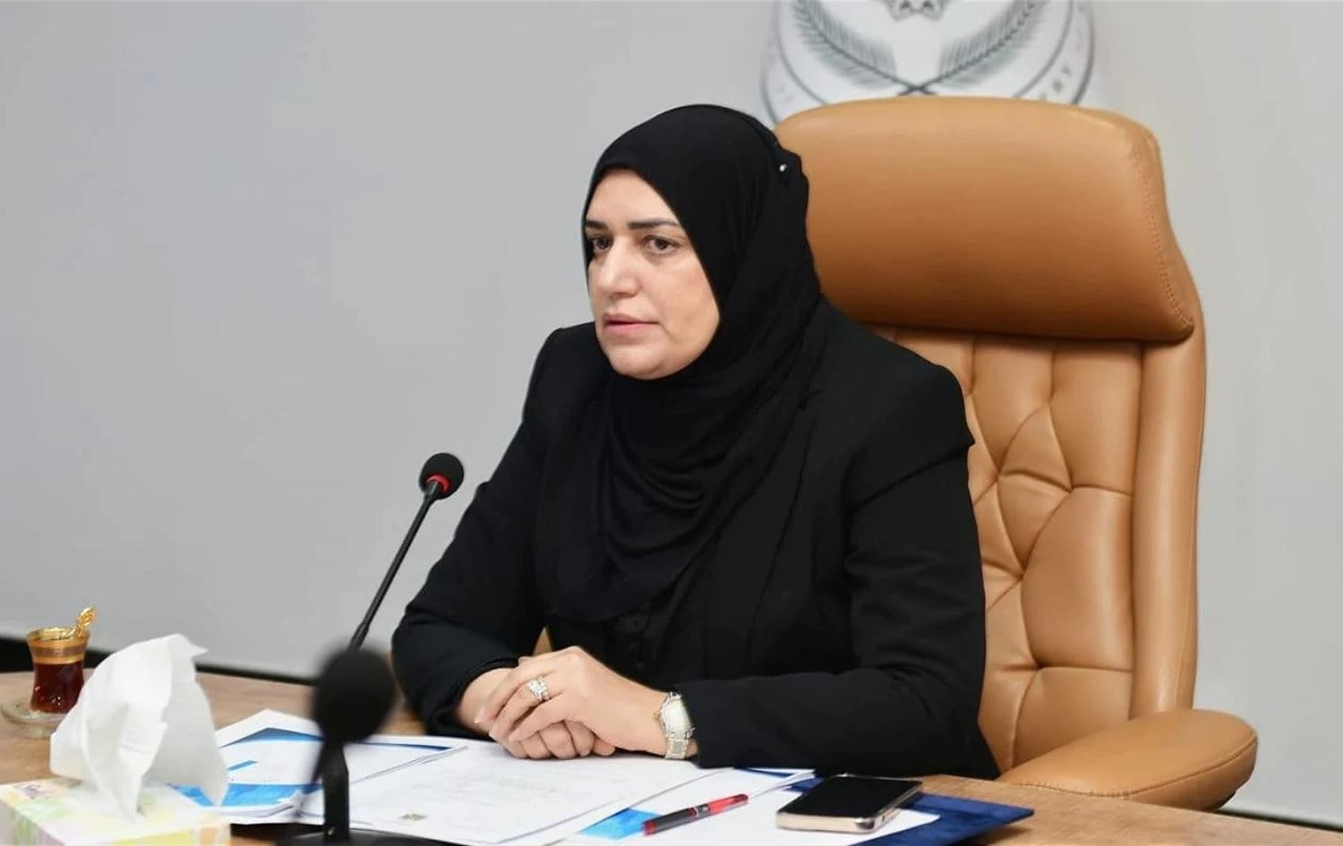 وزيرة المالية العراقية، طيف سامي