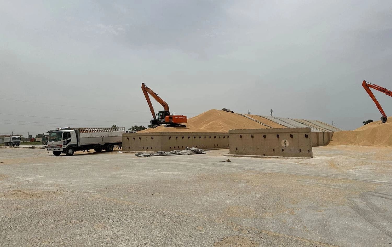 جمع محصول الحنطة في سايلو واسط
