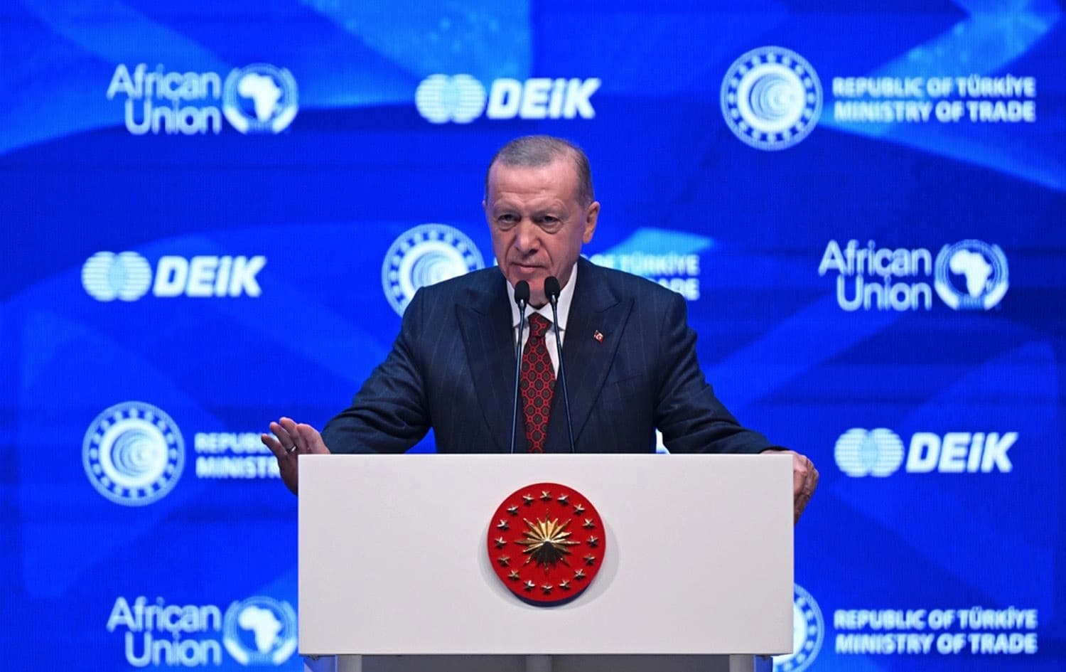 الرئيس التركي رجب طيب أردوغان/ AA