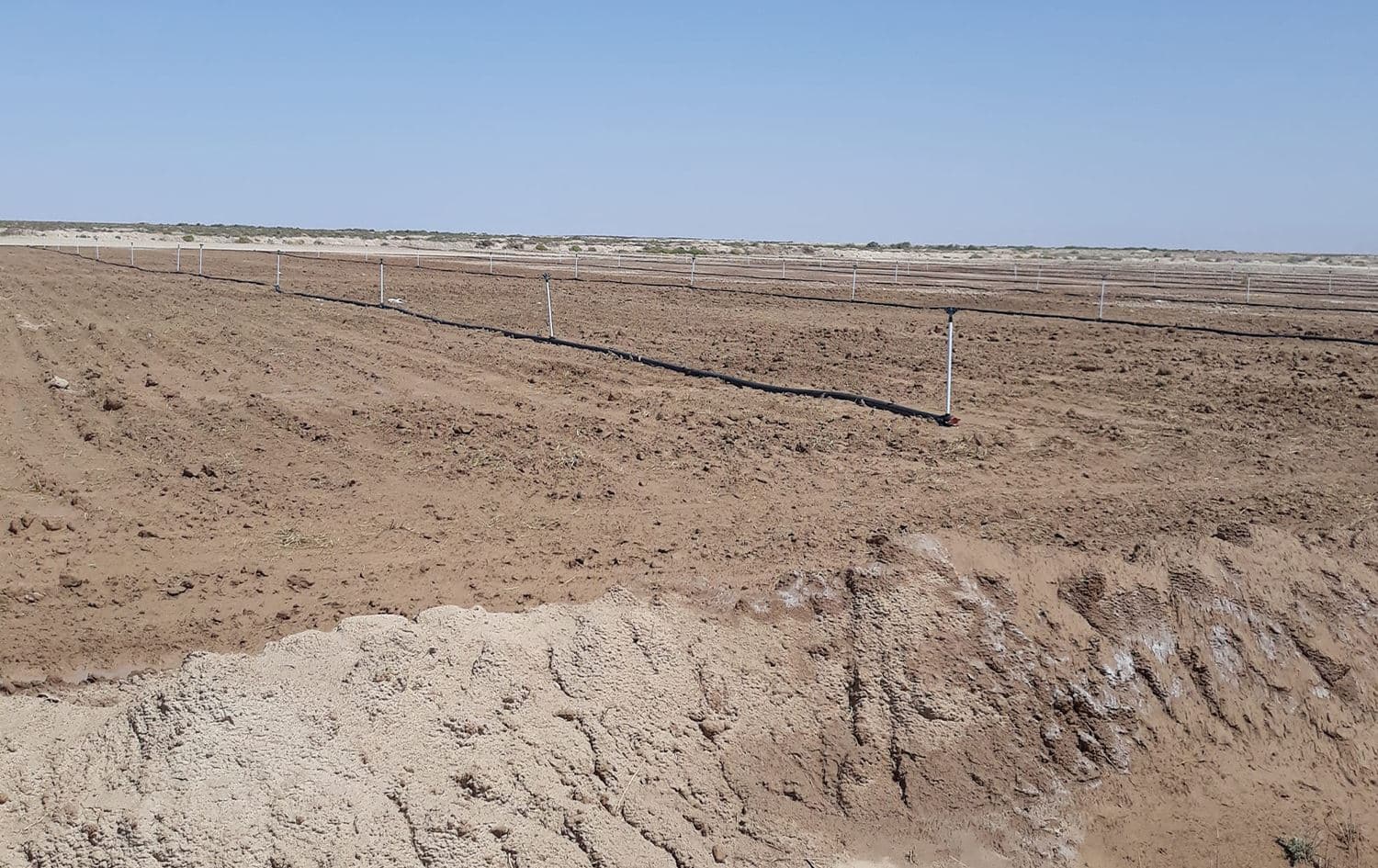أرض زراعية في واسط