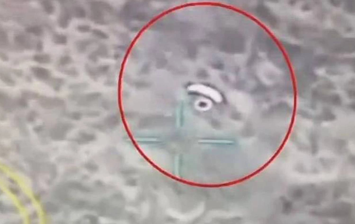 صورة من رصد مسيرة تركية لجسد طائر يخترق الحدود