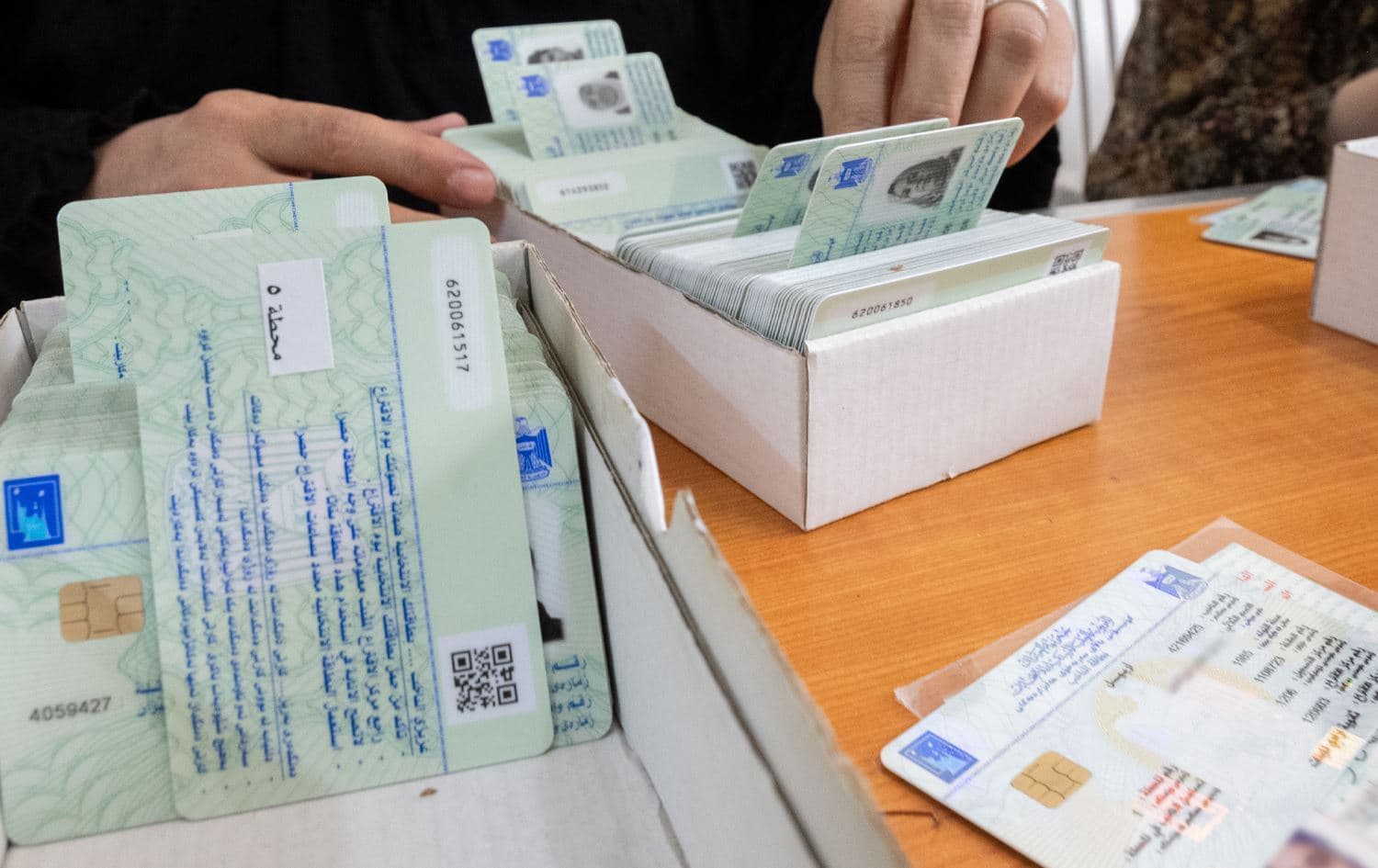 بطاقات انتخابية