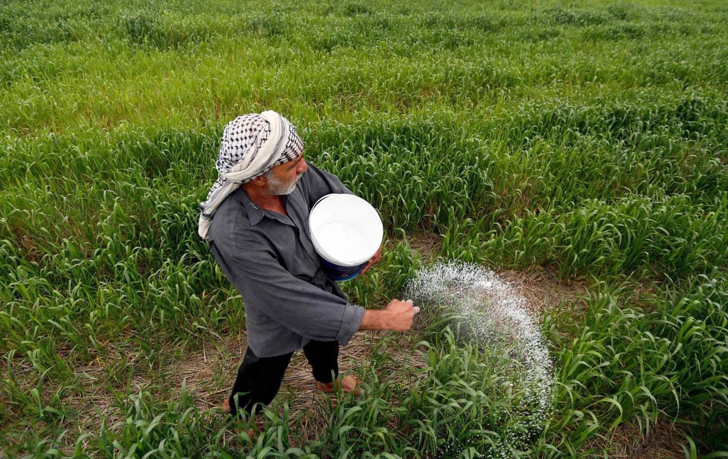 فلاح عراقي يعمل بأرضه الزراعية - ارشيف