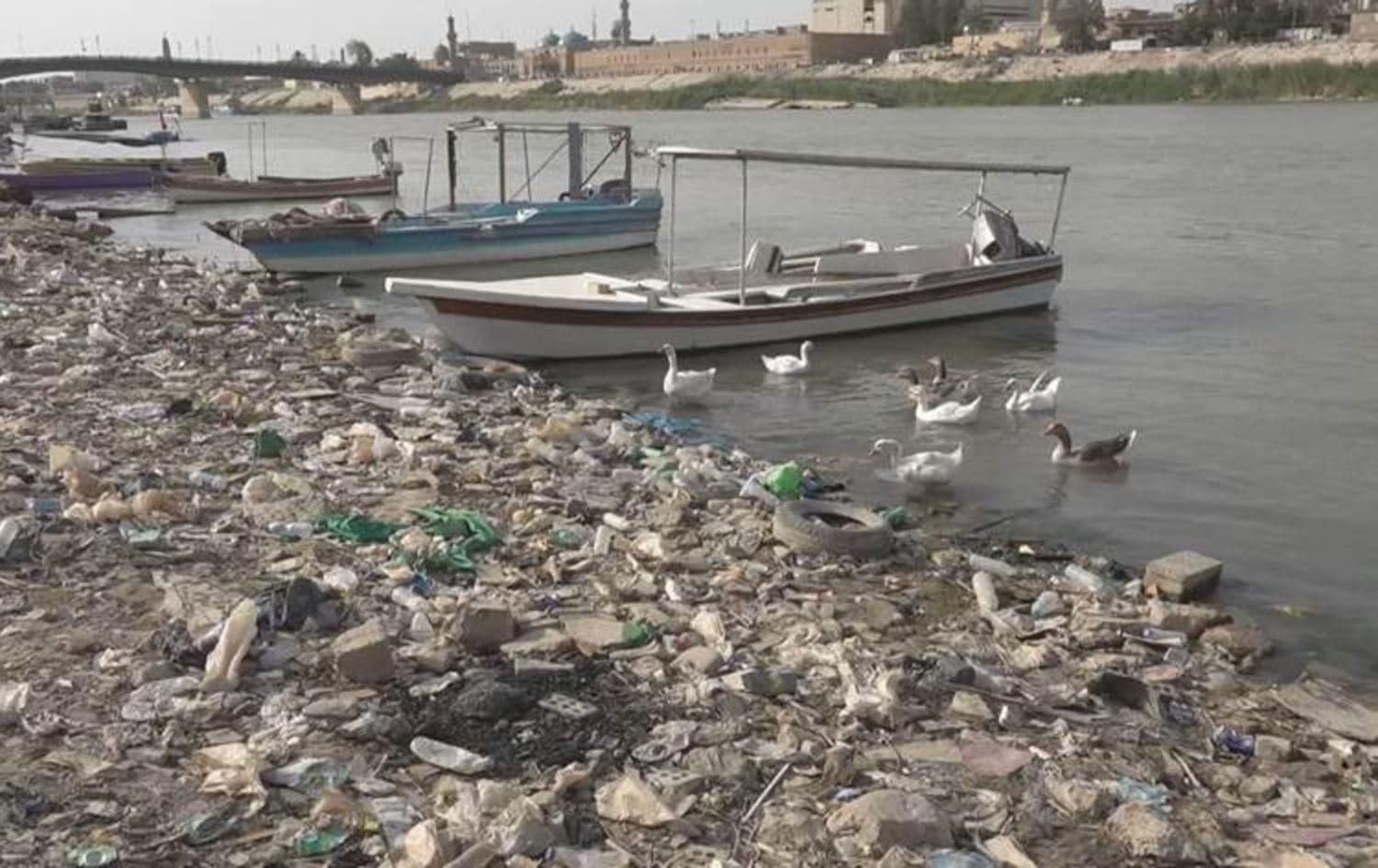 نفايات على شاطئ نهر دجلة - ارشيف